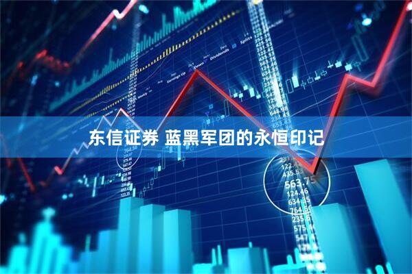 东信证券 蓝黑军团的永恒印记