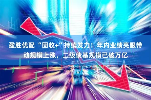 盈胜优配 “固收+”持续发力！年内业绩亮眼带动规模上涨，二级债基规模已破万亿