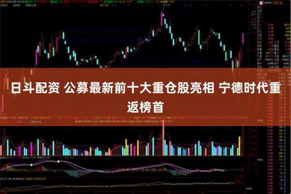 日斗配资 公募最新前十大重仓股亮相 宁德时代重返榜首
